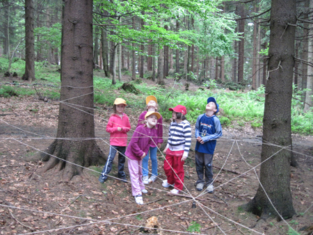 4PvP1B.1C.ctvr (124)